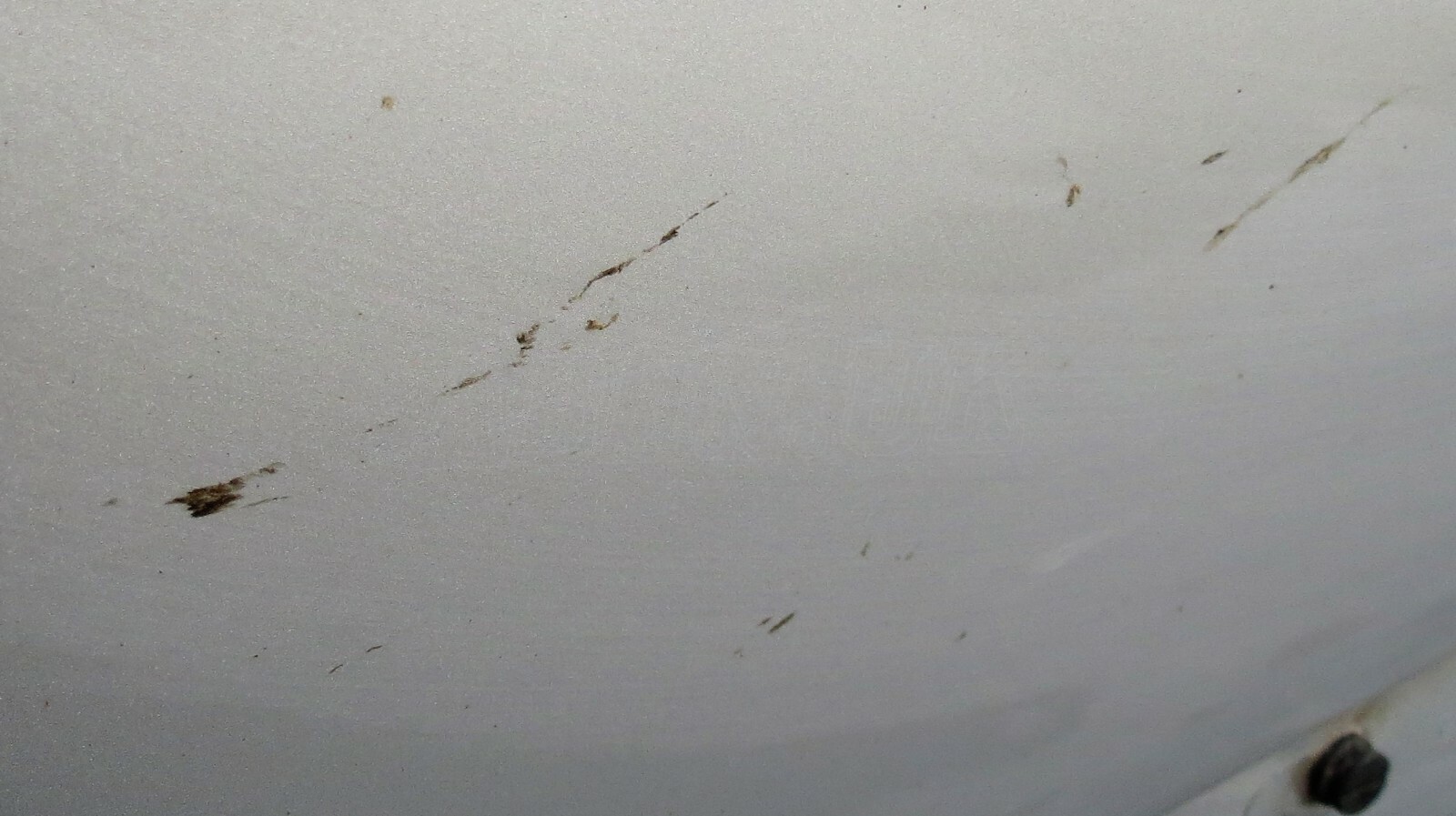 Range Rover Sport L320 Genuine Front Left Side Bare Door Panel Metallic Silver - Image 4