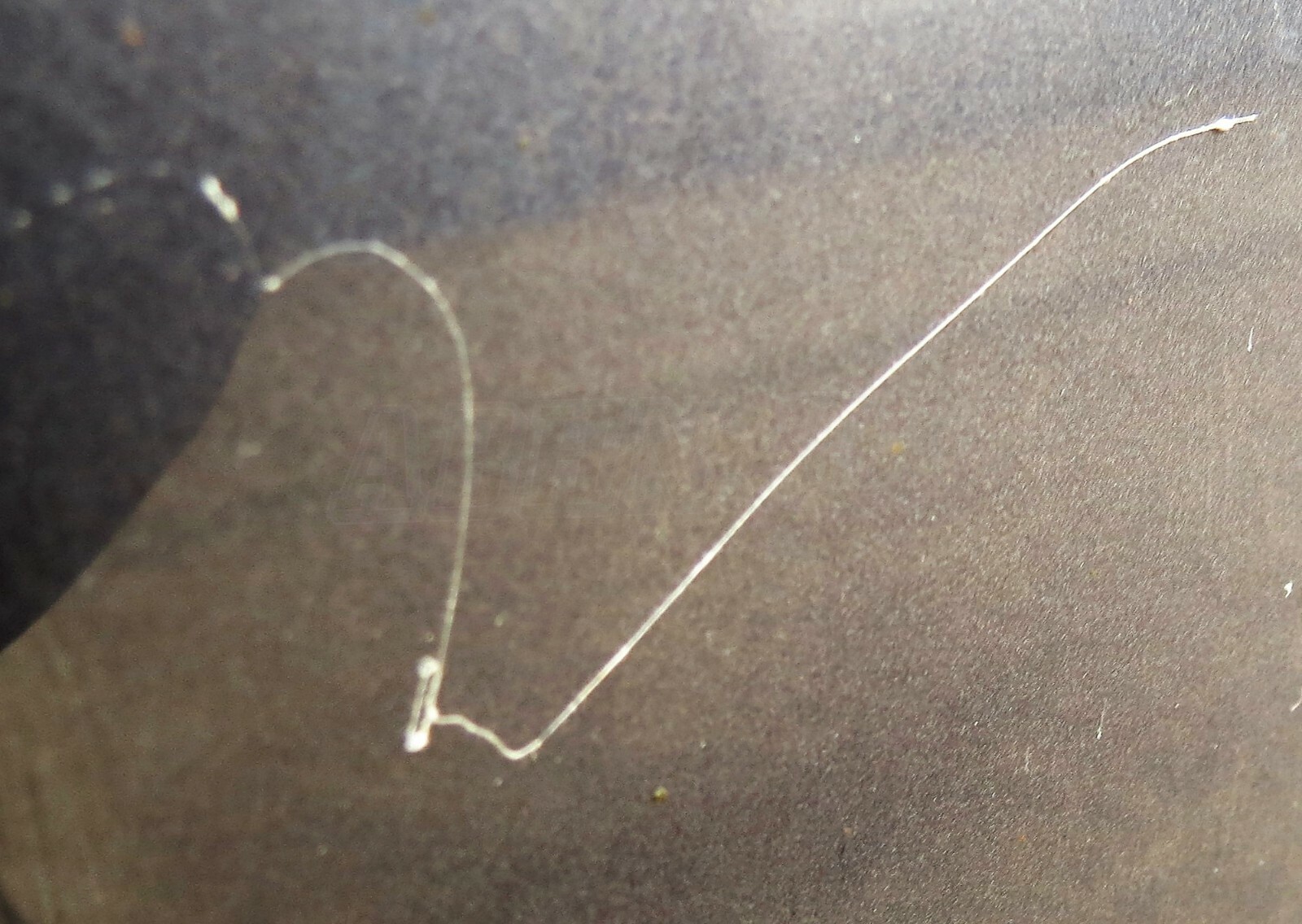 Land Rover Discovery 5/ V Genuine Left LH Side Bare Door Panel Dark Grey Met - Image 6